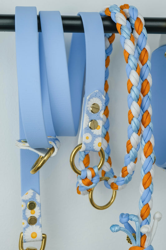 Biothane x Paracord Leine mit UV-bedruckter Biothane, 19mm