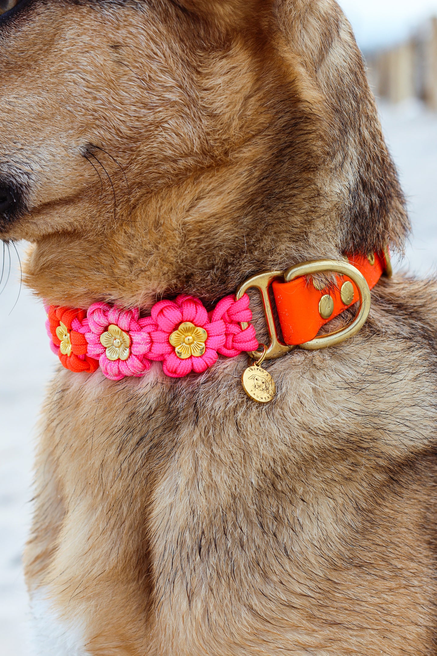 Paracord Blumenhalsband "Flora"