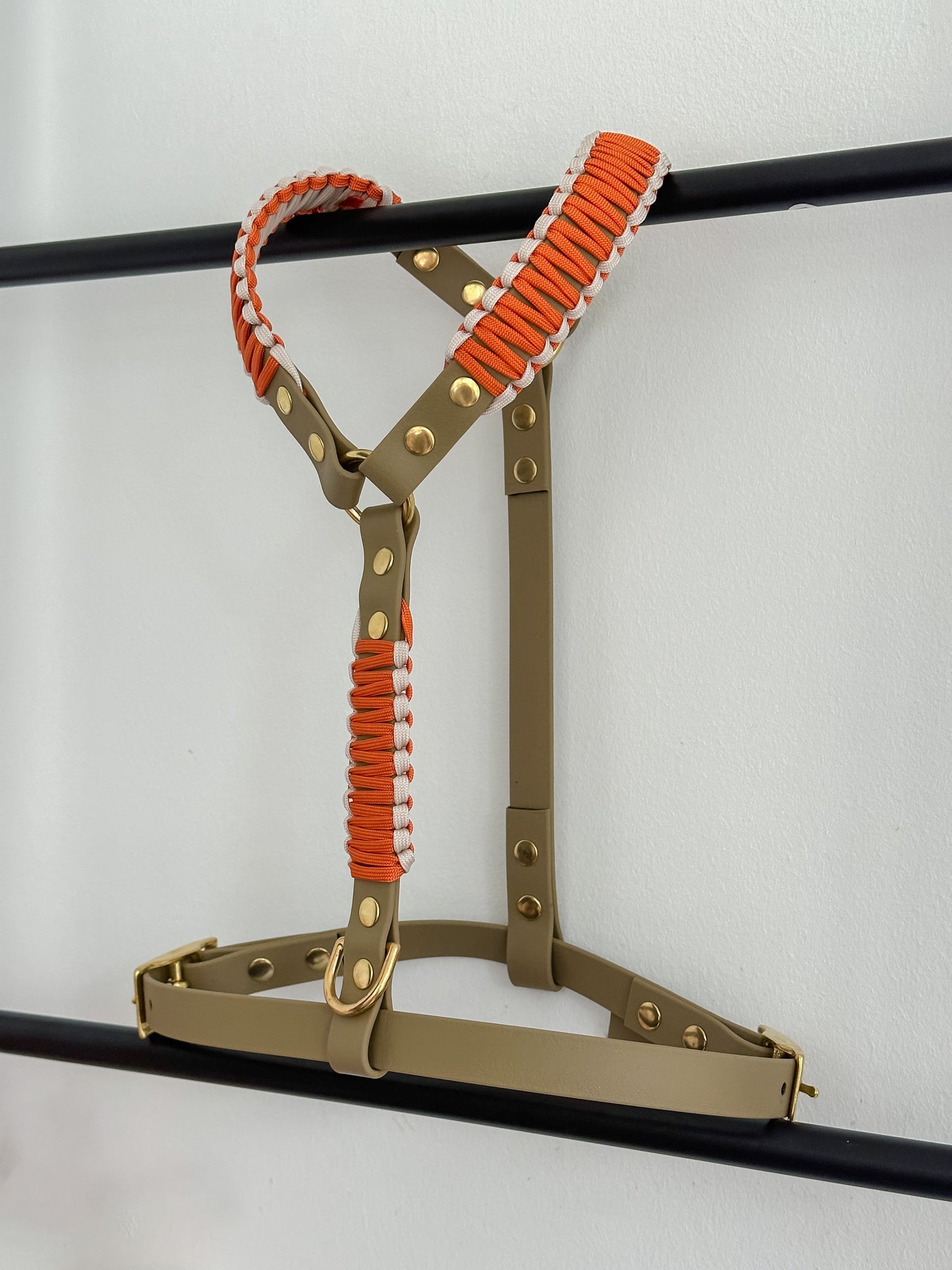 Biothane Geschirr "Frankie"