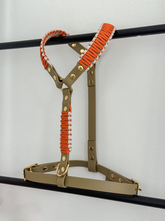 Biothane Geschirr "Frankie"
