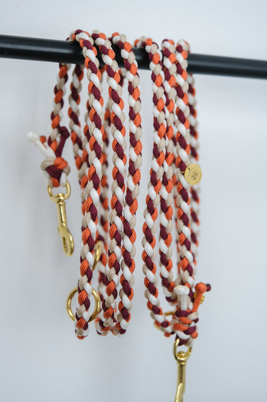 Paracord Leine Small