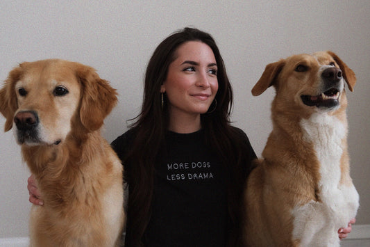 Cropped T-Shirt "MORE DOGS LESS DRAMA"