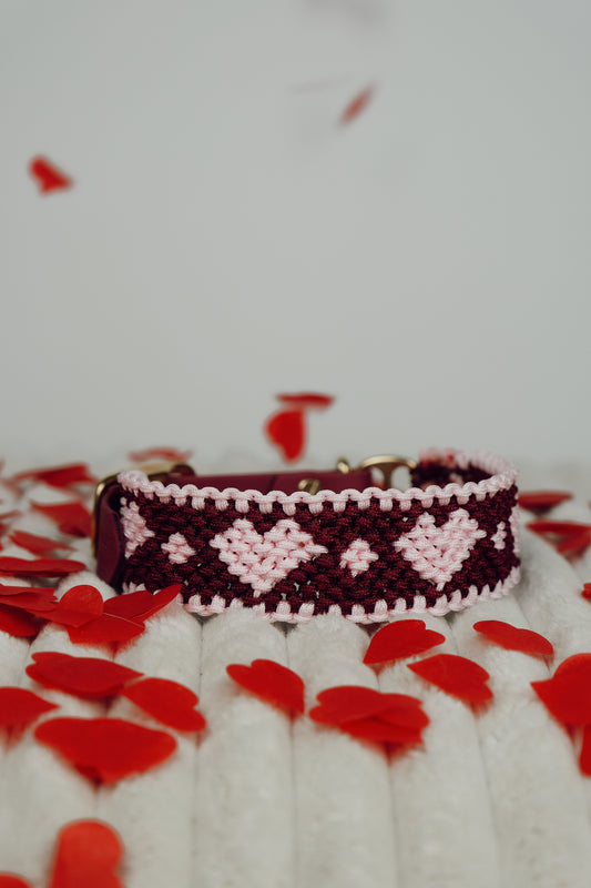 Freundschaftshalsband "Ara", 4cm breit